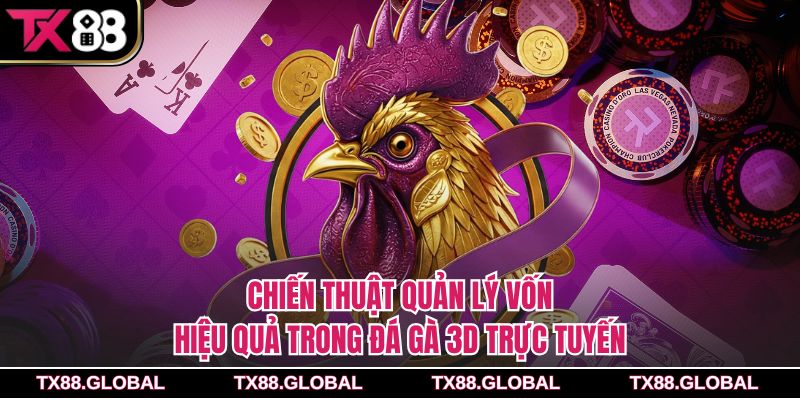 Chiến thuật quản lý vốn hiệu quả trong đá gà 3D trực tuyến