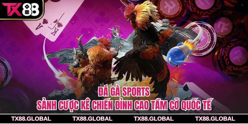 Đá Gà Sports – Sảnh Cược Kê Chiến Đỉnh Cao Tầm Cỡ Quốc Tế
