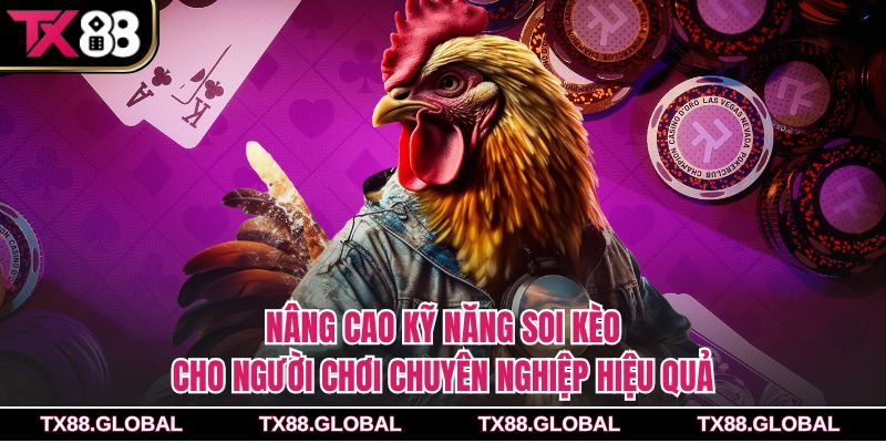 Nâng cao kỹ năng soi kèo cho người chơi chuyên nghiệp hiệu quả