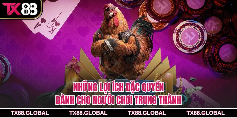 Những lợi ích đặc quyền dành cho người chơi trung thành