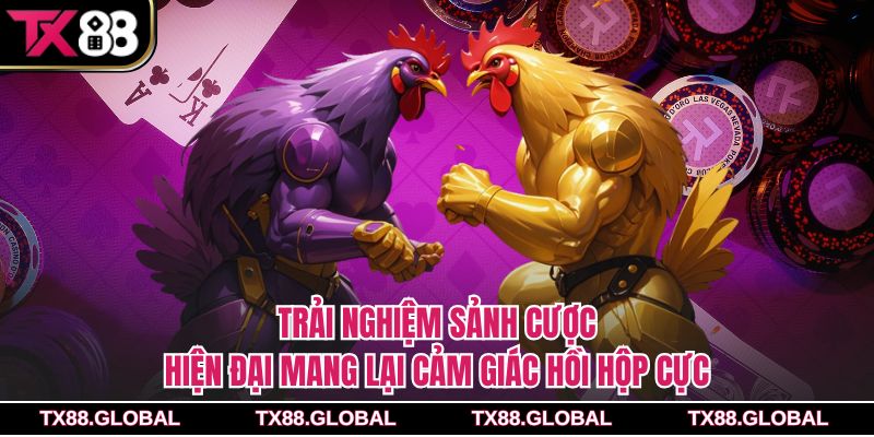 Trải nghiệm sảnh cược hiện đại mang lại cảm giác hồi hộp cực